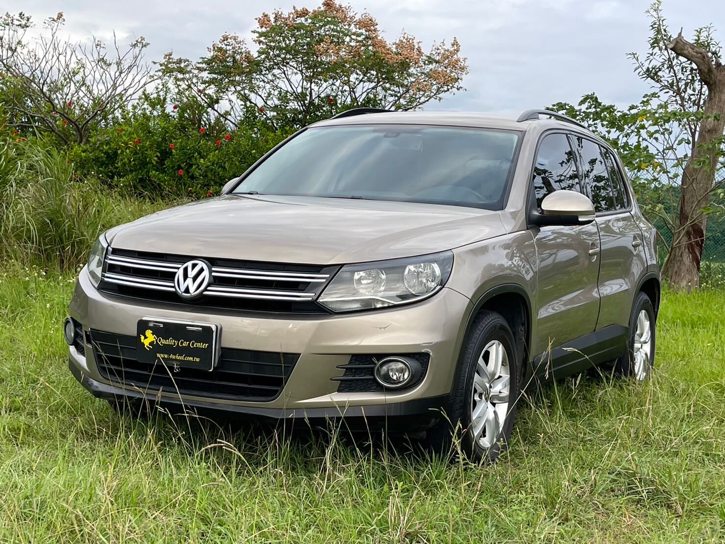 VW  TIGUAN